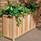 1548.jpg_product
