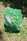 NPB-S.jpg_product