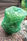 NPB-L.jpg_product