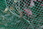 NPB-XL.jpg_product